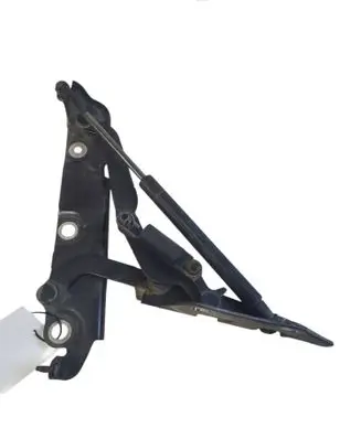 Jaguar XF X250 Tailgate/trunk/boot hinge 8x23406a42ac