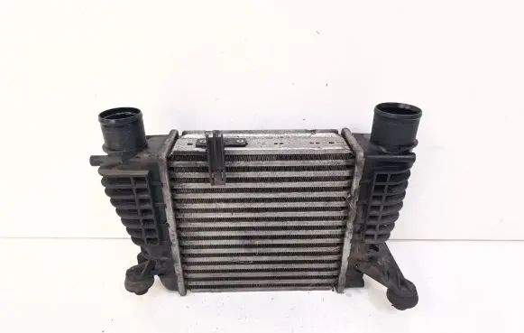 Nissan Juke I F15 Intercooler radiator 144611KB1A