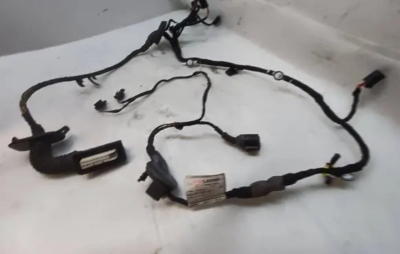 Audi A6 Allroad C7 Front door wiring loom 4G5971029GG G0861 TAB01040AAT