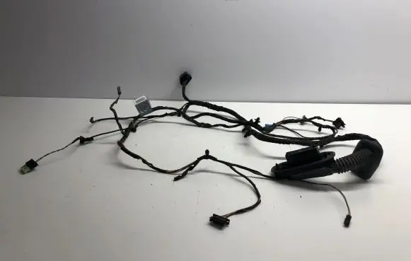 BMW 5 GT F07 Front door wiring loom 9235740