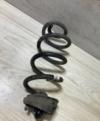 Rear coil spring