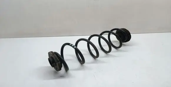 Rear coil spring