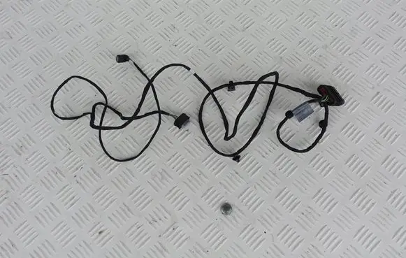 Mercedes-Benz AMG GT R190 C190 Other wiring loom A1905406002