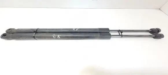 Opel Insignia A Tailgate/trunk strut/damper 13321298