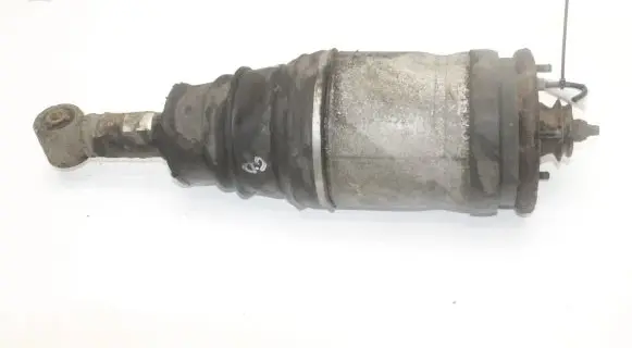 Land Rover Range Rover Sport L320 Rear shock absorber/damper 5H3218W002BB