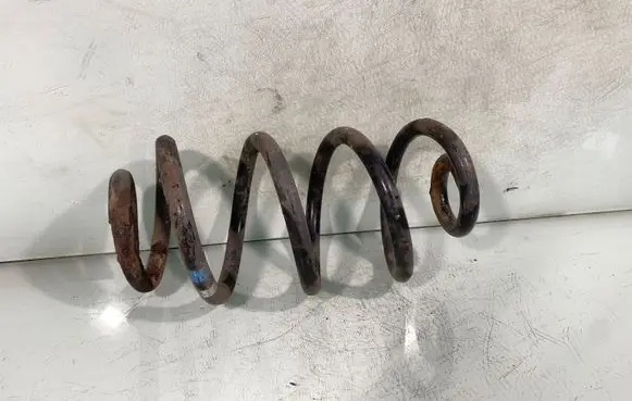Rear coil spring