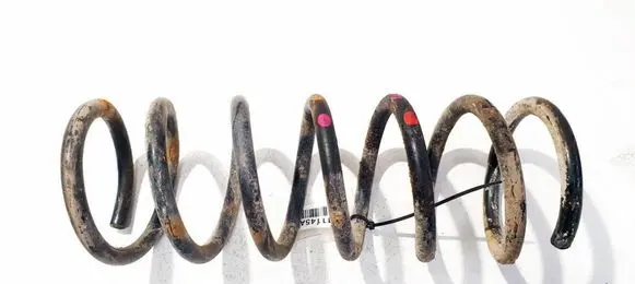 Ford Grand C-MAX Rear coil spring 