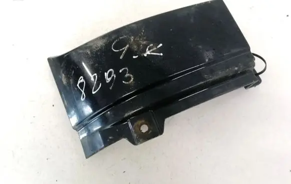 Rear/tail light trim molding