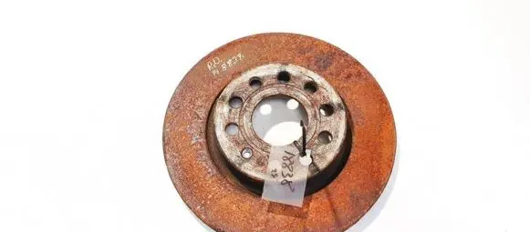 Volkswagen Golf VI Front brake disc ventiliuojamas