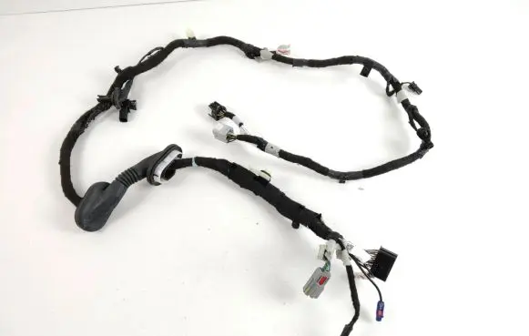 Ford Mustang Mach-E Other wiring loom LJ8T13A409NCH