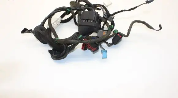 Land Rover Freelander 2 - LR2 Front door wiring loom