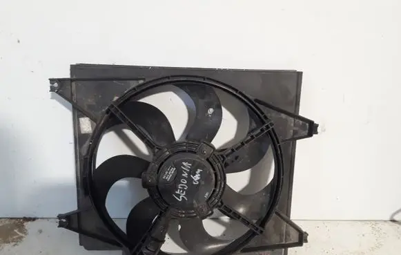 KIA Carnival Electric radiator cooling fan
