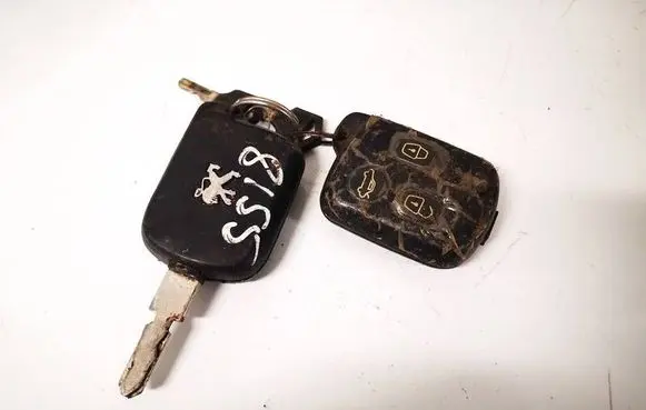Peugeot 607 Ignition key/card 