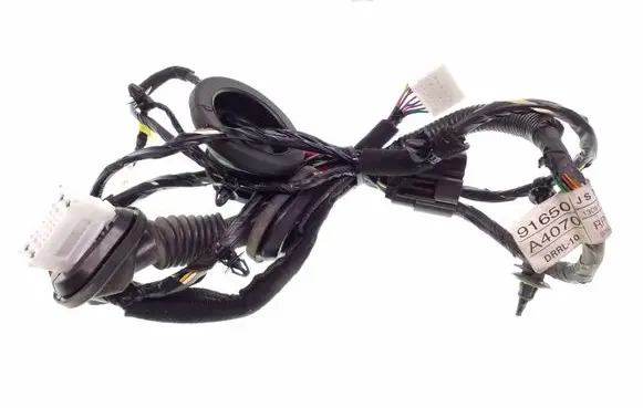 Rear door wiring loom