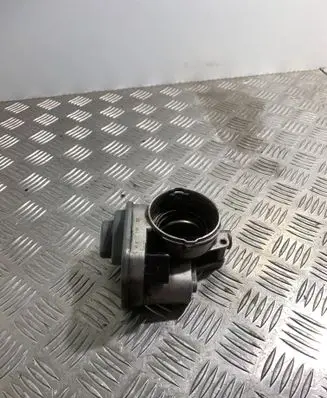 Volkswagen PASSAT B6 Throttle valve 038128063G