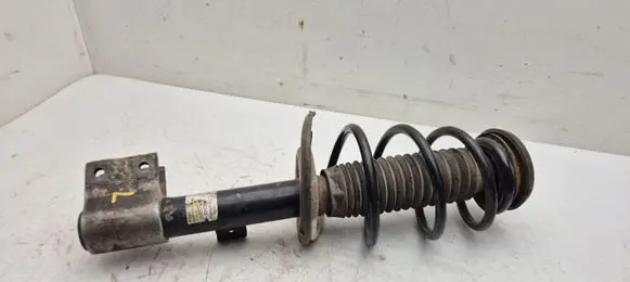 Peugeot Partner Front shock absorber with coil spring 824904003913