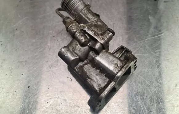 Thermostat/thermostat housing