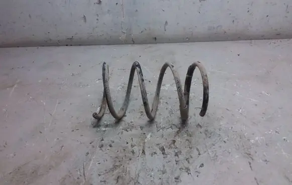 Front coil spring