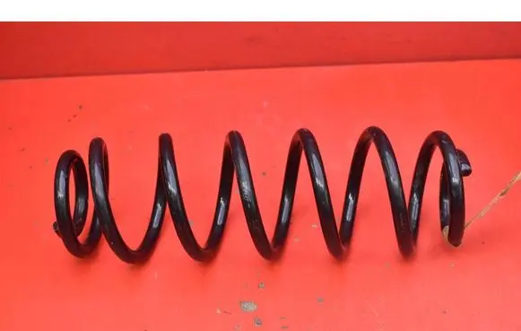 Volkswagen PASSAT B6 Rear coil spring 