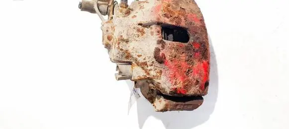 Volkswagen PASSAT B5.5 Front brake caliper