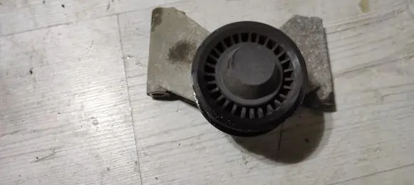 Dacia Duster Generator/alternator belt tensioner 119231672R