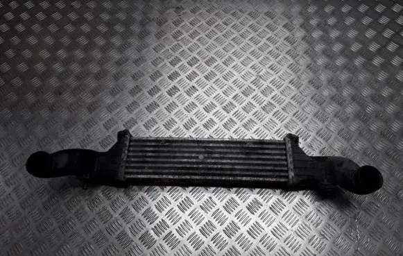 Mercedes-Benz C W202 Intercooler radiator A2025001100