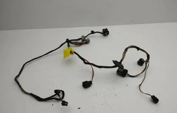 Chrysler Town u0026 Country V Rear door wiring loom 16238CJ
