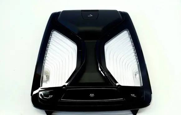 BMW 5 G30 G31 G38 Front seat light 5A8A104 28808128