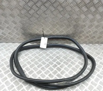 MG MG4 ev Rubber seal front coupe door 10941425