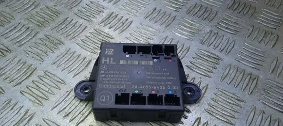 Mercedes-Benz CLS C218 AMG Other control units/modules A2189001401