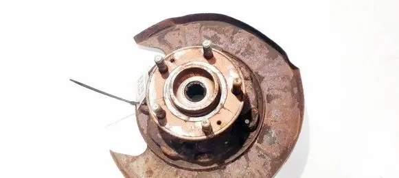 Hyundai Santa Fe Rear brake disc plate dust cover 