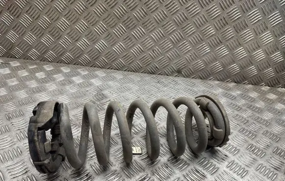 Land Rover Discovery Sport Rear coil spring FK725B749HB