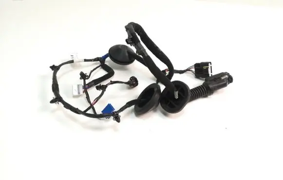 KIA Sportage Rear door wiring loom 91660F1040