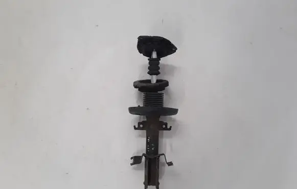 Renault Scenic III - Grand scenic III Front shock absorber/damper 543020017R