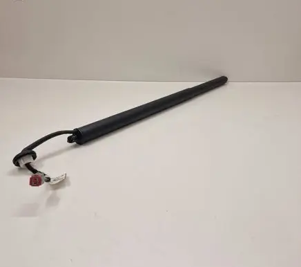Ford Mustang Mach-E Tailgate strut LJ8BR402A55AD