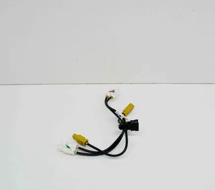 Tesla Model S Sound system wiring loom 107145100A