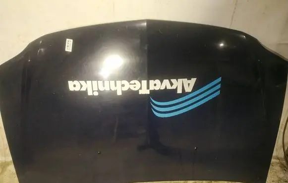 Engine bonnet/hood