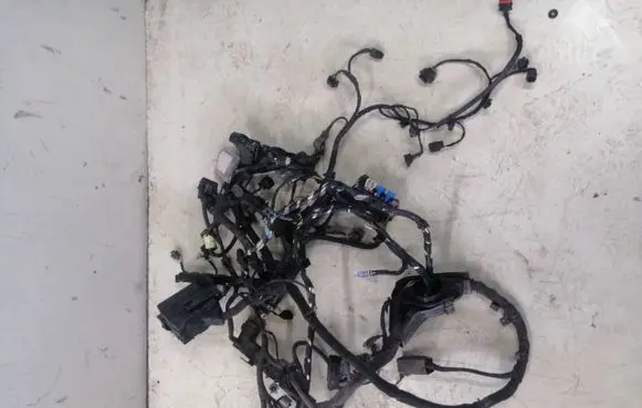 KIA Ceed Wiring harness 