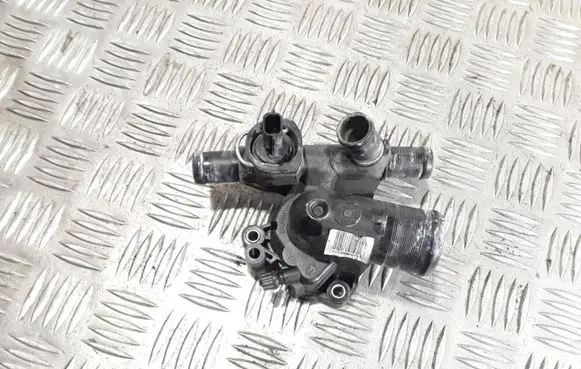 Thermostat/thermostat housing