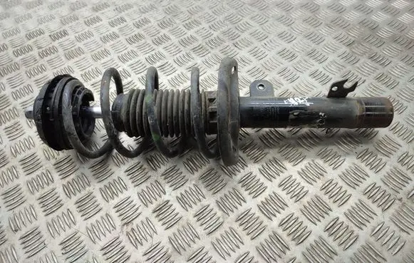 Citroen C3 Aircross Front shock absorber/damper 9827238780