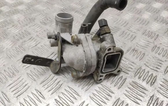 Thermostat/thermostat housing
