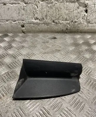Rear/tail light trim molding