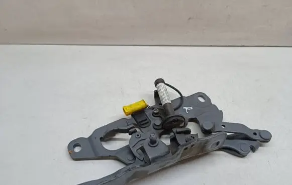 BMW 6 F12 F13 Engine bonnet/hood hinges 7263055