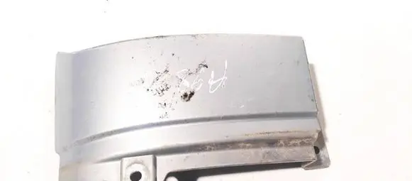 Rear/tail light trim molding