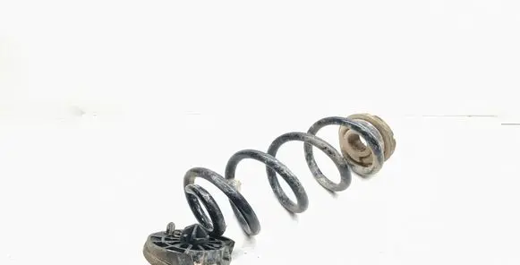 Rear coil spring