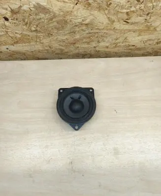 Front door speaker