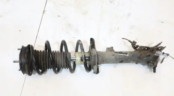 Ford Ecosport Front shock absorber with coil spring GN15-18K001-N3B