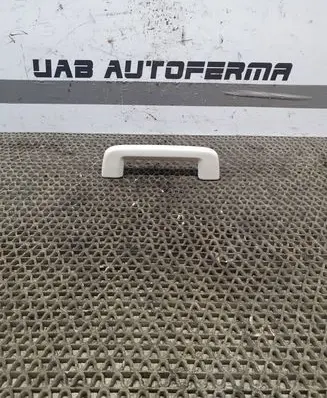 Ford Focus Front interior roof grab handle