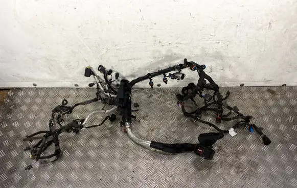 Jaguar F-Pace Engine installation wiring loom A50208699 H4D312A690 149318000