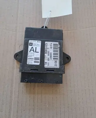 Opel Signum Door control unit/module 13111456